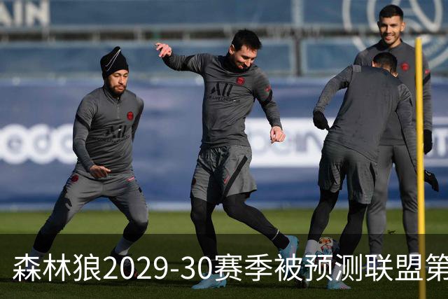 森林狼2029-30赛季被预测联盟第5，爱德华兹成最大底气